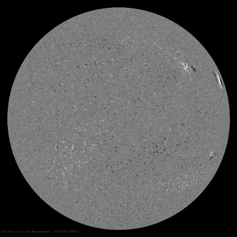 Image of Sun's magnetic field