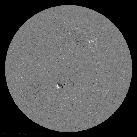 Image of Sun's magnetic field