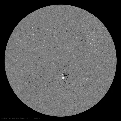 Image of Sun's magnetic field