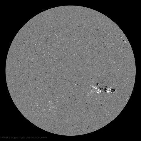 Image of Sun's magnetic field