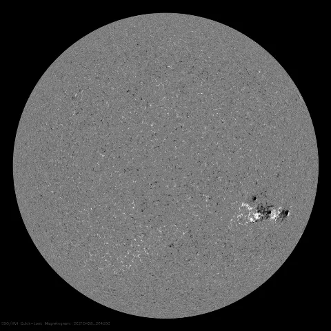 Image of Sun's magnetic field