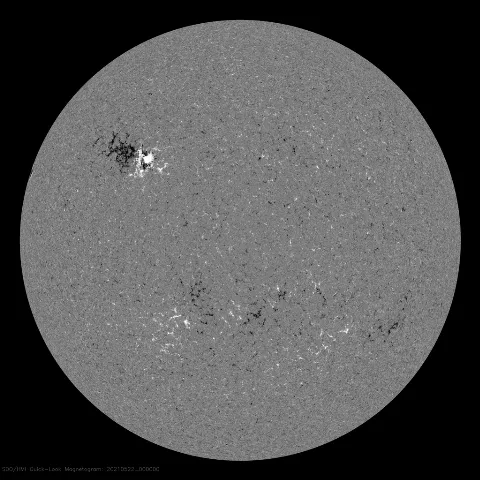 Image of Sun's magnetic field