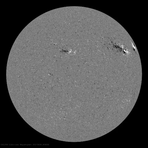 Image of Sun's magnetic field