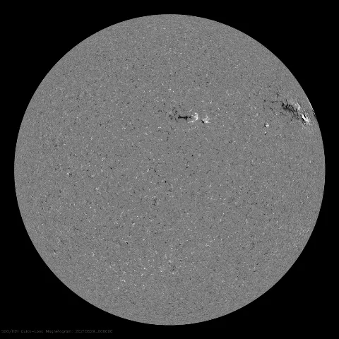 Image of Sun's magnetic field