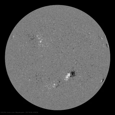 Image of Sun's magnetic field