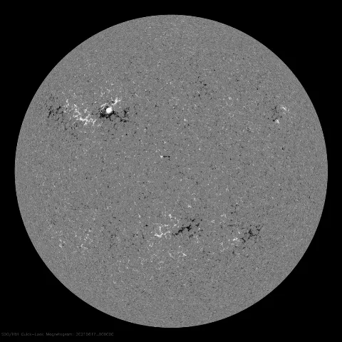 Image of Sun's magnetic field