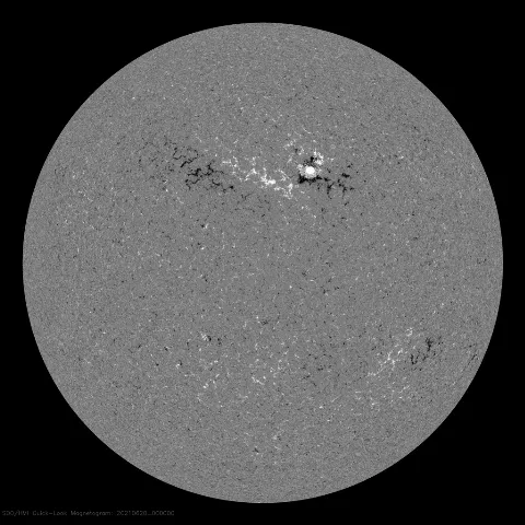 Image of Sun's magnetic field