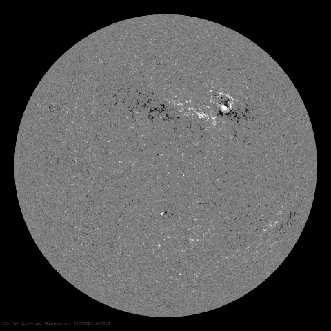 Image of Sun's magnetic field