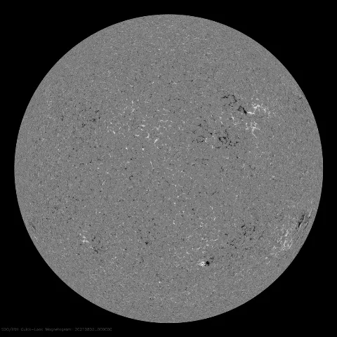 Image of Sun's magnetic field