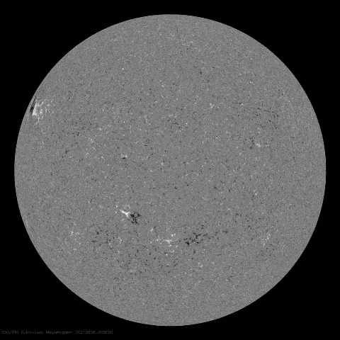 Image of Sun's magnetic field