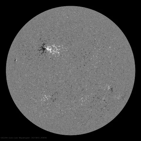 Image of Sun's magnetic field