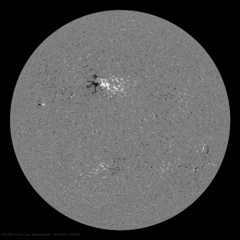 Image of Sun's magnetic field