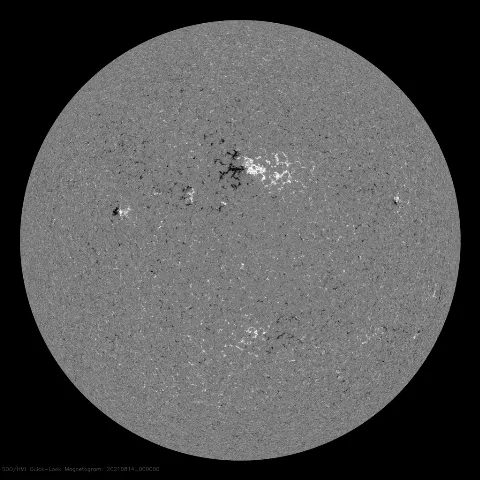 Image of Sun's magnetic field