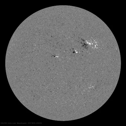 Image of Sun's magnetic field