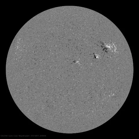 Image of Sun's magnetic field