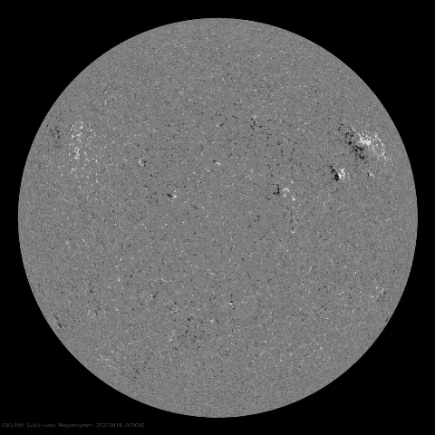 Image of Sun's magnetic field