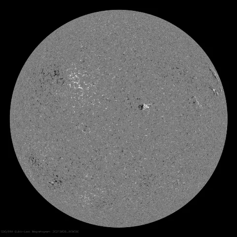 Image of Sun's magnetic field