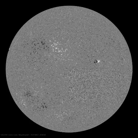 Image of Sun's magnetic field