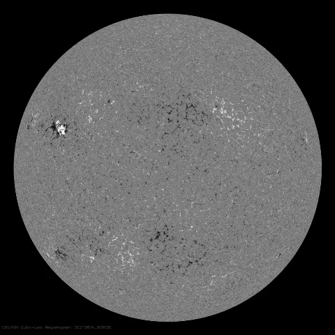 Image of Sun's magnetic field