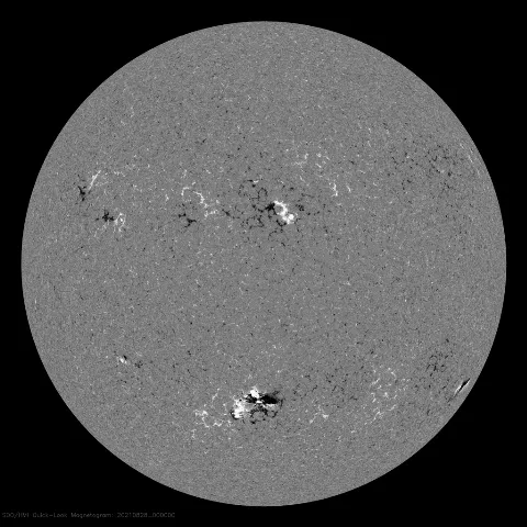 Image of Sun's magnetic field