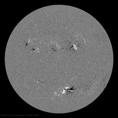 Image of Sun's magnetic field