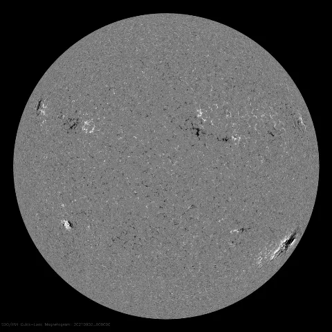 Image of Sun's magnetic field