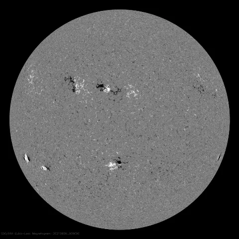 Image of Sun's magnetic field