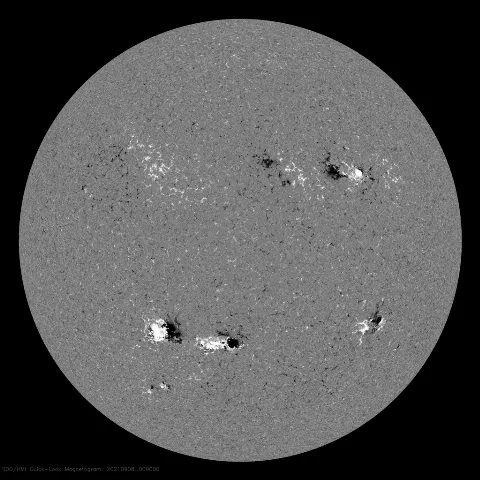 Image of Sun's magnetic field