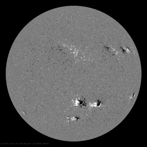 Image of Sun's magnetic field