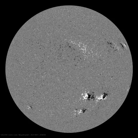 Image of Sun's magnetic field