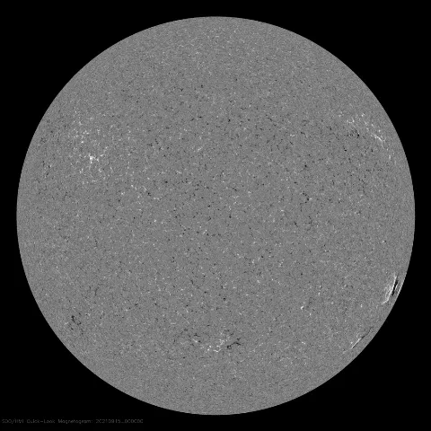 Image of Sun's magnetic field