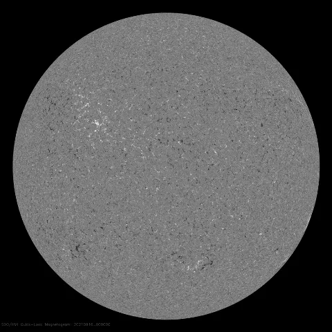 Image of Sun's magnetic field