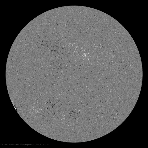 Image of Sun's magnetic field