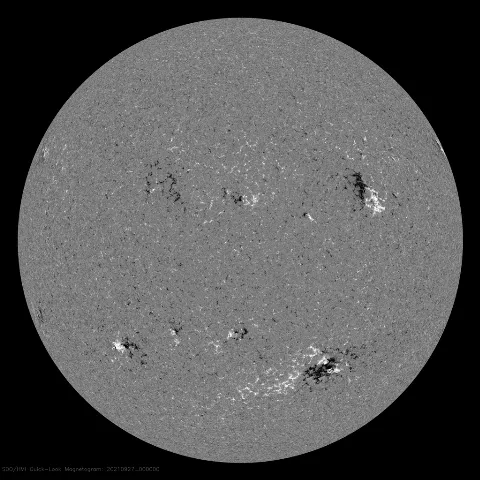 Image of Sun's magnetic field