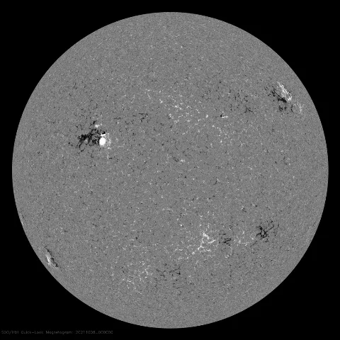 Image of Sun's magnetic field