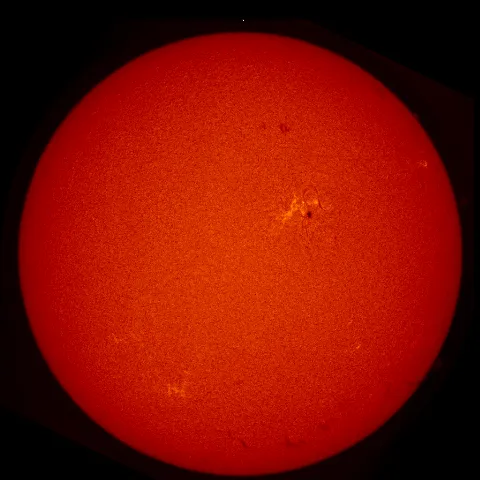 Image of Sun's chromosphere