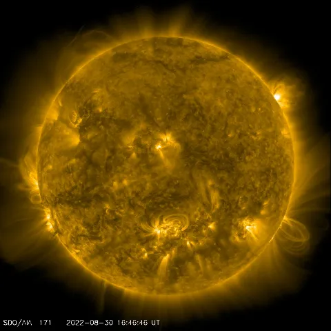 Image of Sun's corona