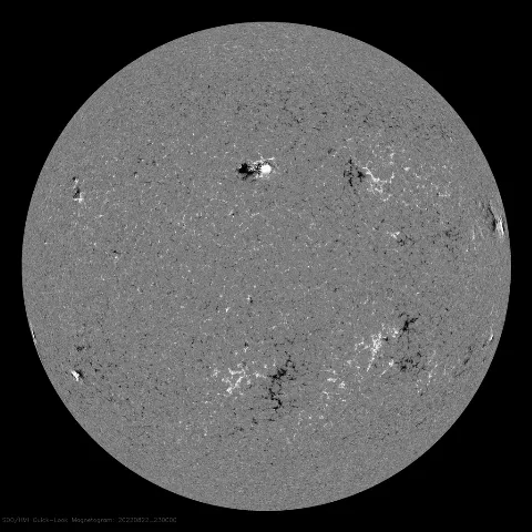 Image of Sun's magnetic field