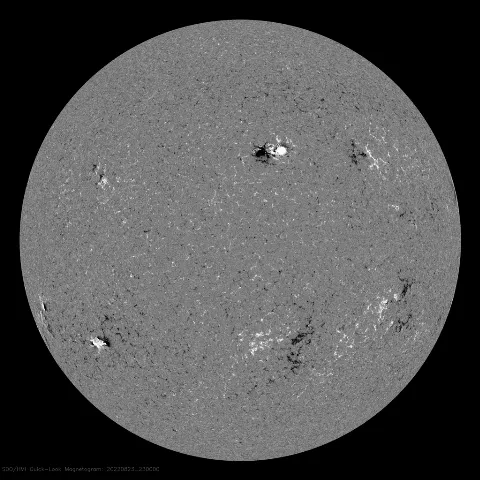 Image of Sun's magnetic field