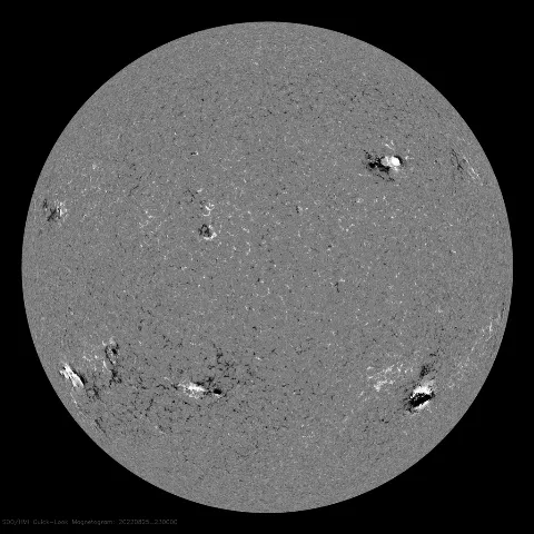 Image of Sun's magnetic field