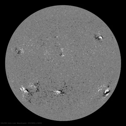 Image of Sun's magnetic field