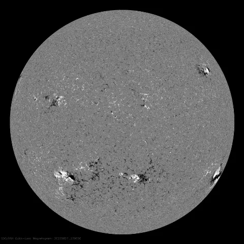 Image of Sun's magnetic field