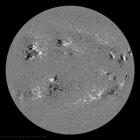 Image of Sun's magnetic field