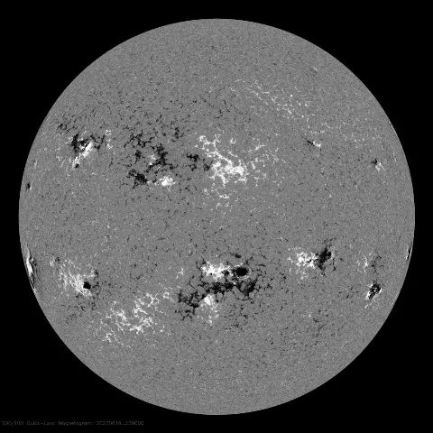 Image of Sun's magnetic field