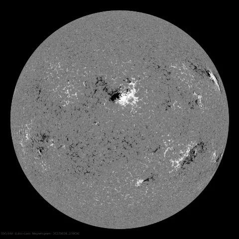 Image of Sun's magnetic field