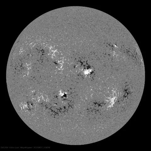 Image of Sun's magnetic field