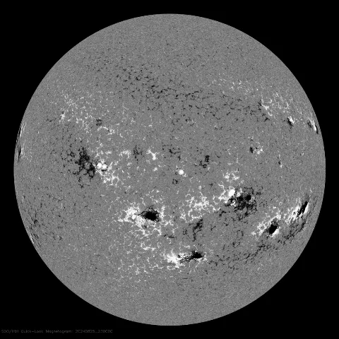 Image of Sun's magnetic field