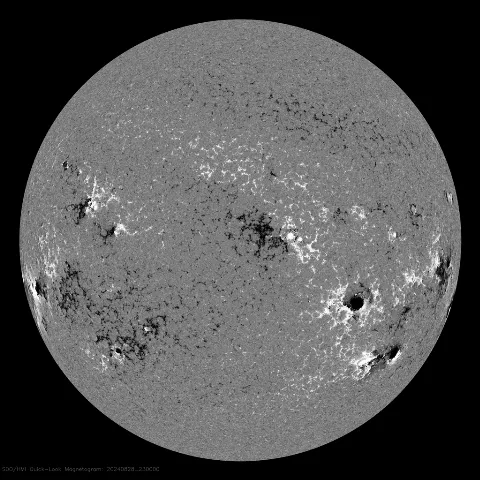 Image of Sun's magnetic field