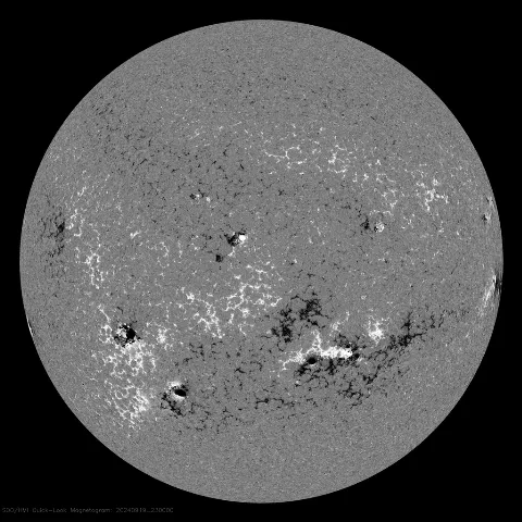 Image of Sun's magnetic field