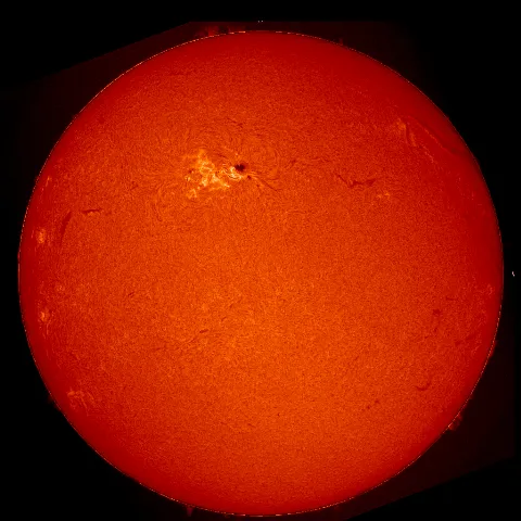 Image of Sun's chromosphere